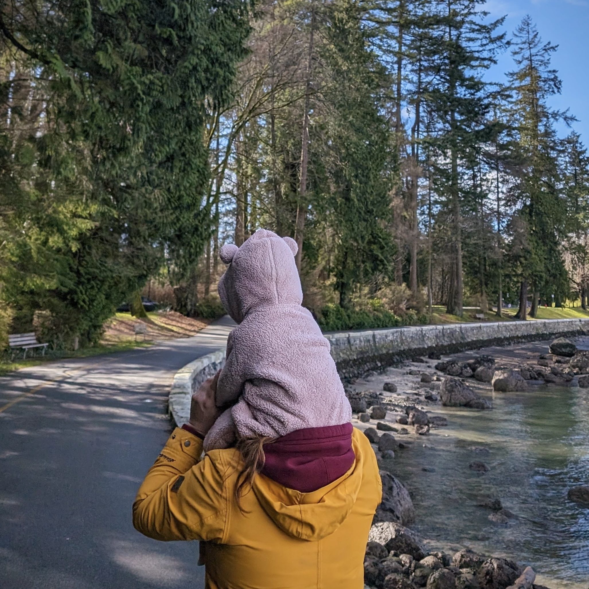 Person carrying a toddler on their shoulders while walking in the forest